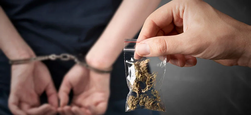 Cary Drug Crime Lawyer-image