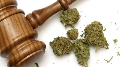 Raleigh Marijuana Possession Attorney