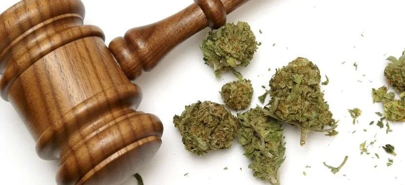 Raleigh Marijuana Possession Attorney
