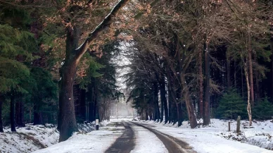 Cold and Drunk? Don’t Sit in Your Car to Warm Up