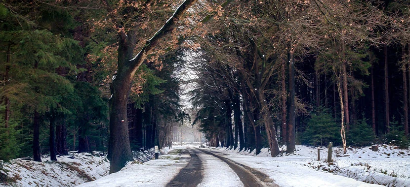 Cold and Drunk? Don’t Sit in Your Car to Warm Up