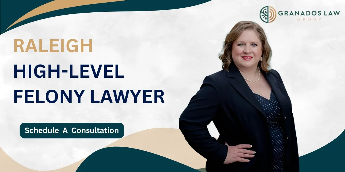 Raleigh High-Level Felony Lawyer-image